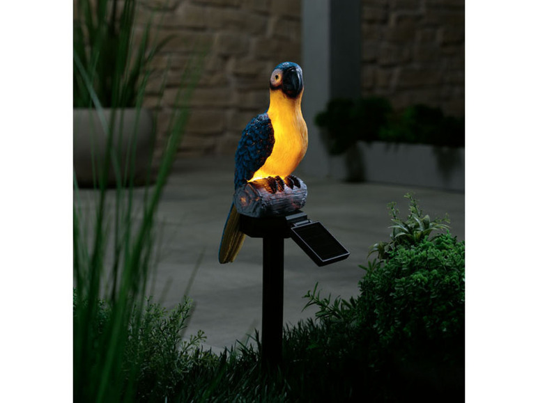 Ga naar volledige schermweergave: LIVARNO home Decoratieve solarlamp voor buiten - afbeelding 7