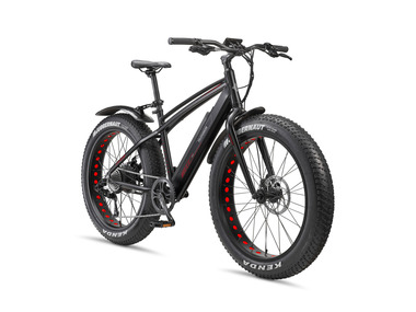 TELEFUNKEN VTT électrique Fat Bike Aufsteiger FM350 26 pouces noir