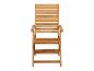 Chaise de jardin à lattes en bois avec accoudoirs