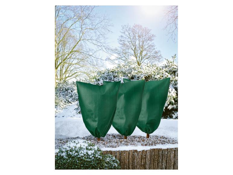 Trois housses de protection vertes pour plantes dans la neige.