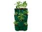 Jardinière verticale verte avec des plants de pommes de terre en croissance.