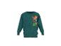 Donkergroen kinder sweatshirt met dinosaurusmotief en tekst 'DINO EXPERT'.