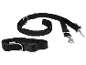 Collier et double laisse Zooafari pour chiens.