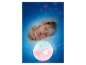 Bébé dormant paisiblement près d'une veilleuse projection d'étoiles.