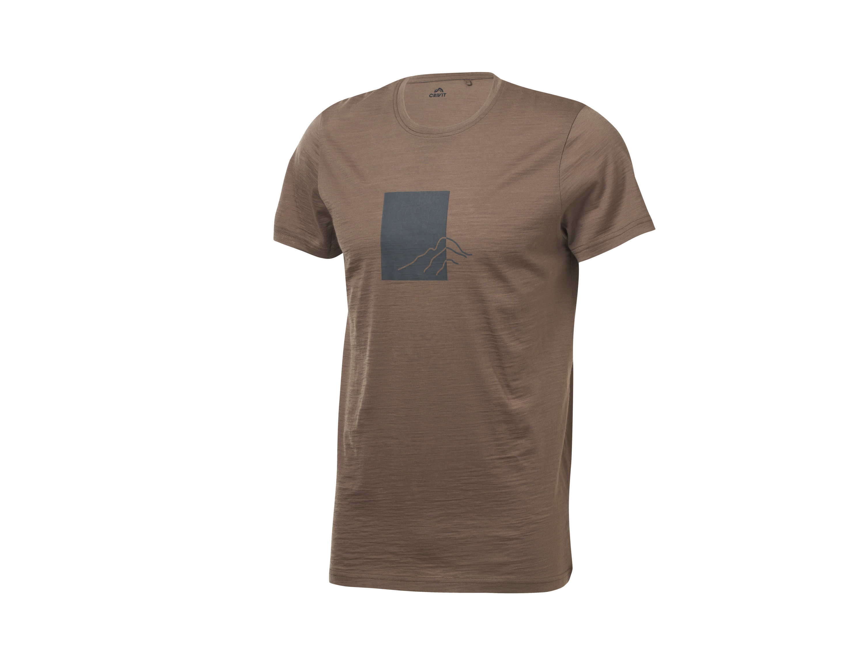 CRIVIT Sportshirt merinowol voor heren - 2