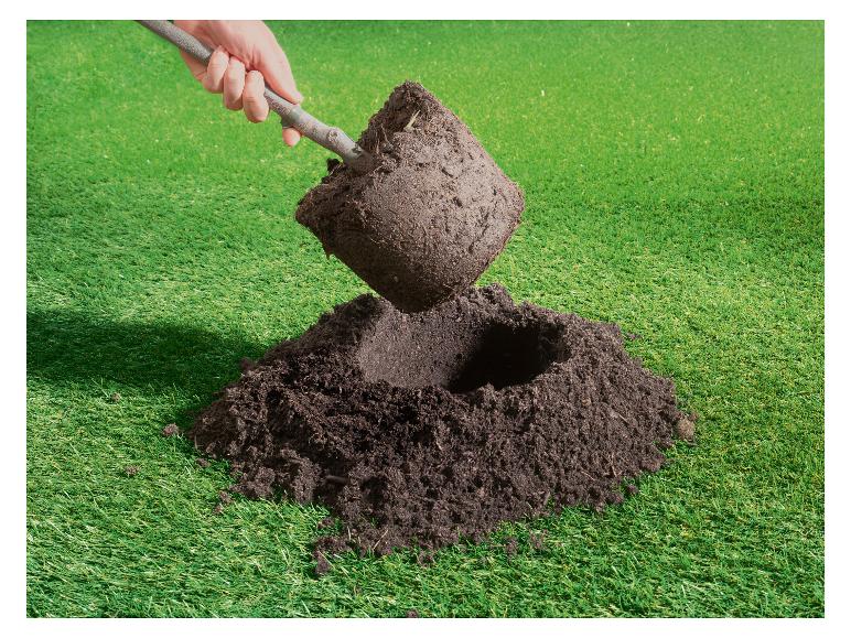 Main plantant un petit arbre avec sa motte dans un trou dans le sol.