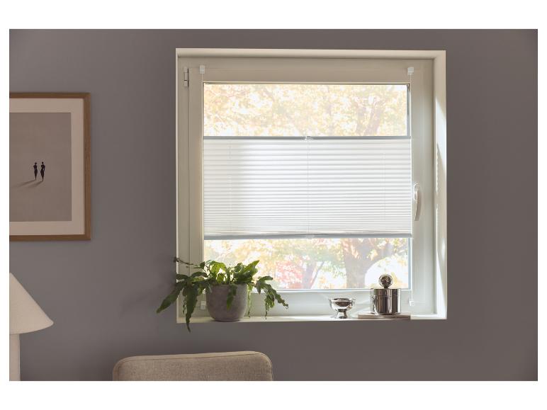 Fenêtre avec store plissé blanc, plante et objets décoratifs sur le rebord.