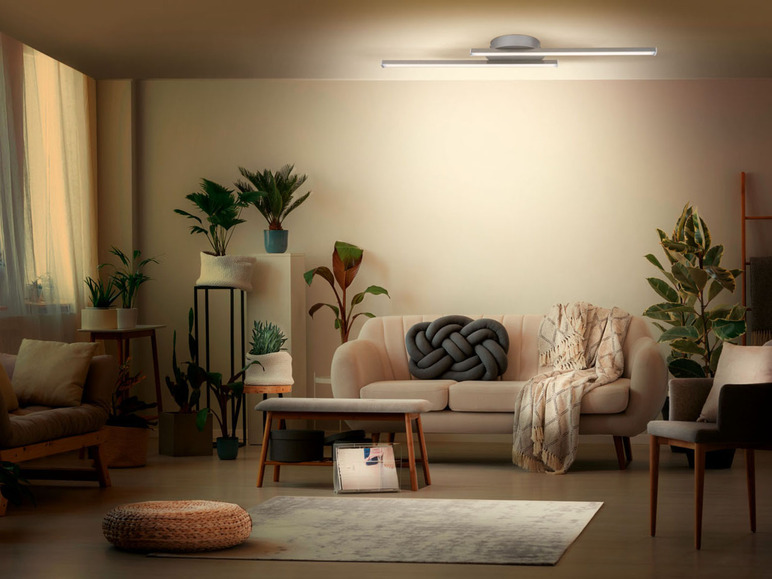Ga naar volledige schermweergave: LIVARNO home Ledwand-/plafondlamp - afbeelding 9