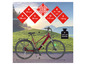 Een rode Telefunken elektrische fiets met afmetingen en maximale belasting.
