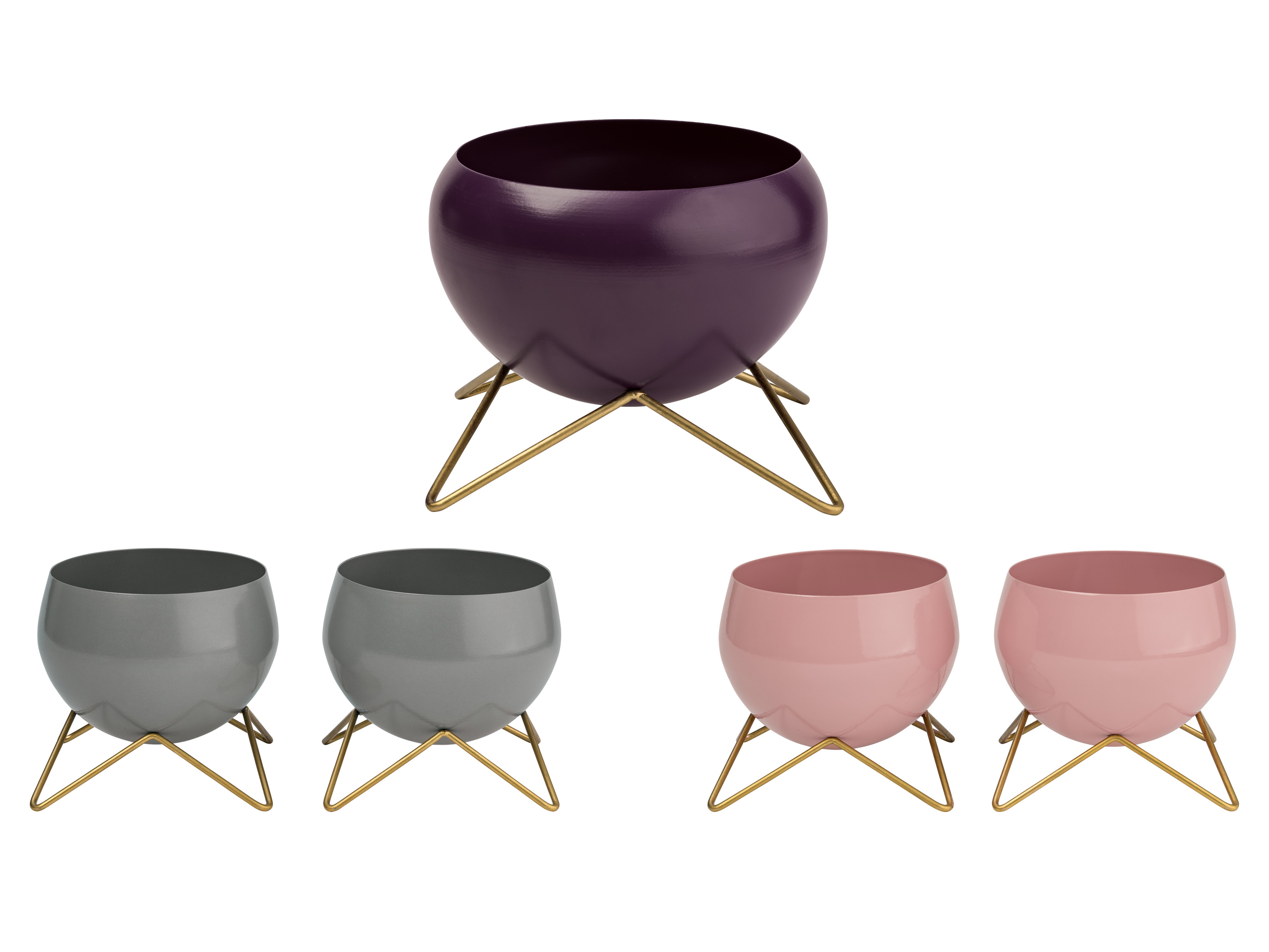 Bloempot binnen LIVARNO home
