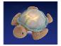 Une tortue en peluche avec une carapace lumineuse sur fond bleu.