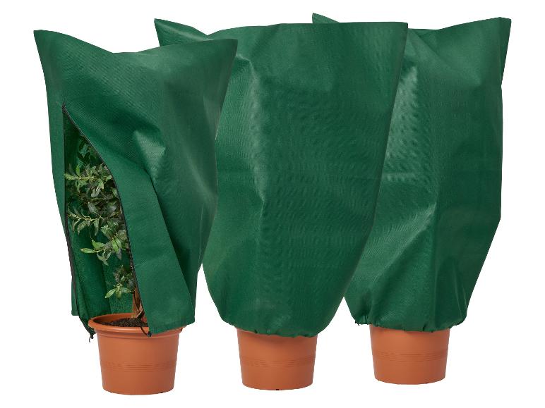 Trois plantes en pot couvertes de sacs de protection hivernale verts, un partiellement ouvert