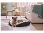 Chien dans un lit pour animaux de compagnie sur un tapis moelleux, avec une table basse et un canapé en arrière-plan.