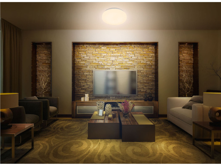 Ga naar volledige schermweergave: LIVARNO home Ledplafondlamp Smart Home - afbeelding 3