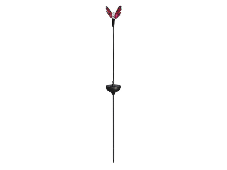 Ga naar volledige schermweergave: LIVARNO home Decoratieve solarlamp - afbeelding 13