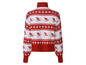 Een rood-witte trui met een wintersportpatroon.
