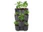 Jardinière verticale grise avec des plants de pommes de terre