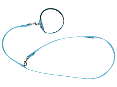 Collier et laisse pour chiens zoofari®