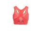 Vue arrière d'une brassière de sport rose corail avec détails en maille et fermeture à agrafes.