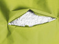 Een groene beanbag met open rits, gevuld met witte EPS-parels.