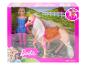 Barbiepop en paard speelset in een doos