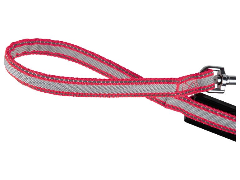 Une laisse de chien rouge et grise avec une boucle en métal.