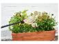 Een tuinsproeier besproeit planten in een houten plantenbak.