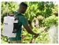 Man met Parkside Performance rugspuit besproeit planten in een tuin.