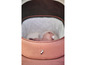 Een baby in een roze kinderwagen van Stokke.