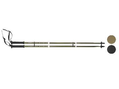 CRIVIT Bâtons de trekking, 2 pièces