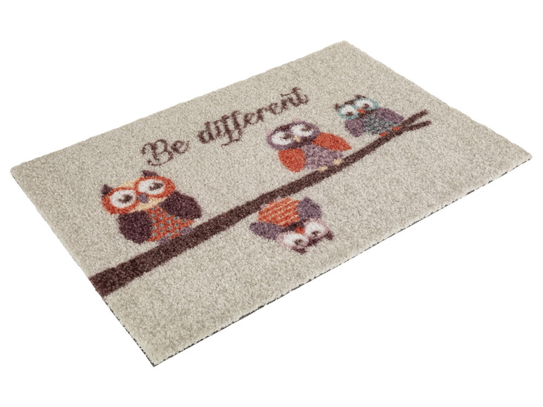 Ga naar volledige schermweergave: LIVARNO home Deurmat, 40 x 60 cm - afbeelding 6