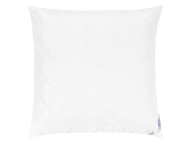 LIVARNO home Oreiller, 60 x 60 cm
