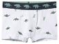 Boxer blanc pour garçon avec dinosaures verts et ceinture rayée
