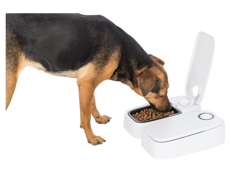 Un chien mange dans une gamelle automatique.