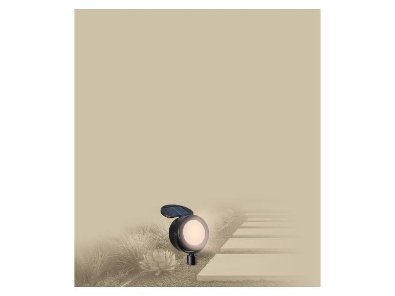 Op zonne-energie werkende tuinspot die een pad met sierplanten verlicht.