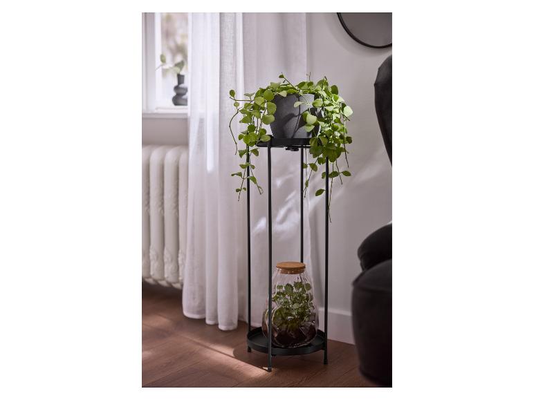 Groene potplant op een zwart rek met een terrariumfles eronder, naast een raam.