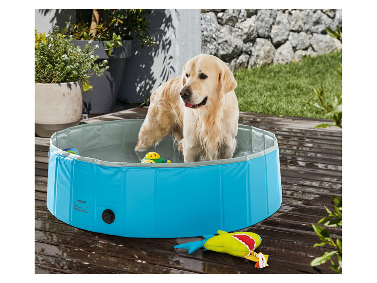 Aller en mode plein écran zoofari® Piscine pour chien, sans gonflage, pliable - Photo 2