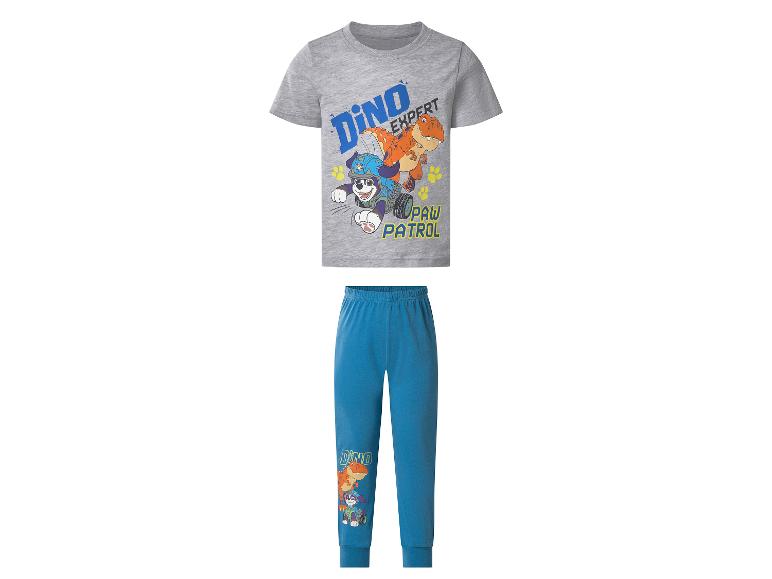 Grijs T-shirt en blauwe broek met 'Dino Expert Paw Patrol'-print voor kinderen.