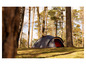 Een zwarte Tambu tent in een bosrijk gebied.
