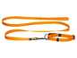 Une laisse et un collier pour chien orange.