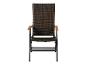 Chaise de jardin en rotin marron avec accoudoirs en bois et cadre en métal foncé.