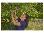 Femme utilisant des sécateurs pour tailler un arbre.