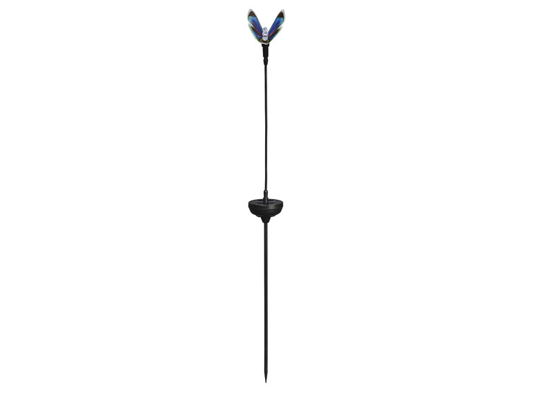Ga naar volledige schermweergave: LIVARNO home Decoratieve solarlamp - afbeelding 3