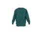 Petrolgroene sweater met een patroon van dinosaurussen en pootafdrukken.
