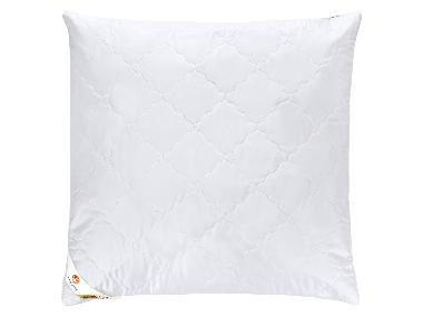LIVARNO® Oreiller Polygiene®, 60 x 60 cm