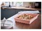 Boîte à gâteau rose avec crumble à la rhubarbe dans une cuisine moderne.