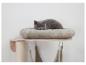 Chat gris dans un lit douillet sur un poteau à griffer en bois