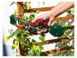 Hand gebruikt een plantenbindgereedschap om een klimplant met gele bloemen aan een houten rek te bevestigen.