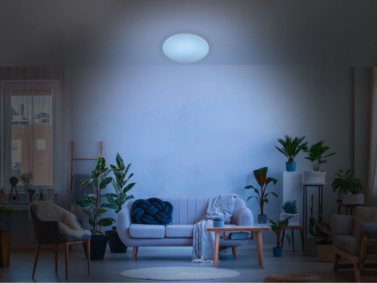 Ga naar volledige schermweergave: LIVARNO home Ledplafondlamp - afbeelding 20