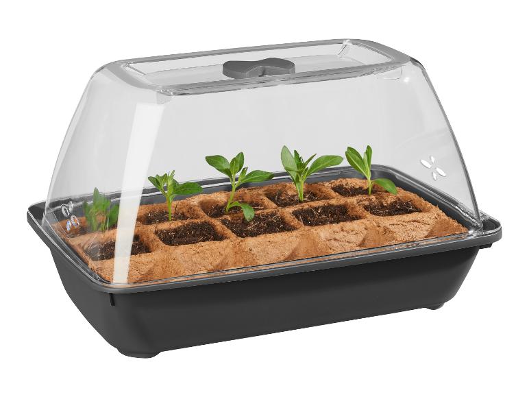 Un bac à semis en plastique avec un couvercle transparent pour faire pousser des plantes.